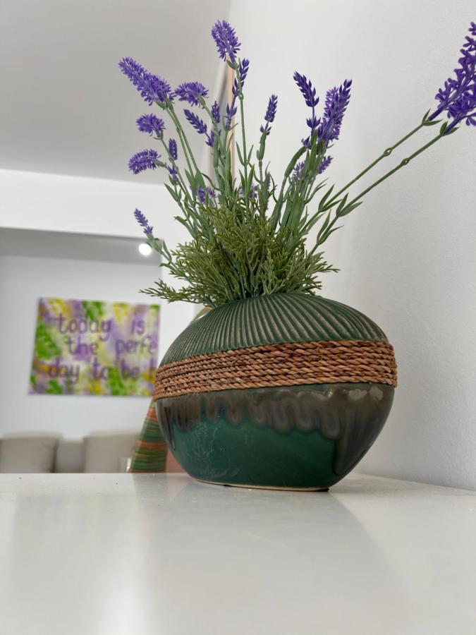 Casa Vacanze Lavanda Menton Dış mekan fotoğraf